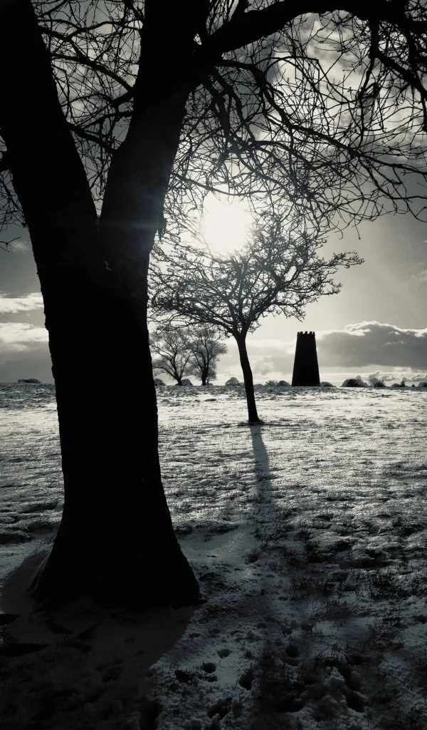 Beverley Westwood Black Mill in silhouette